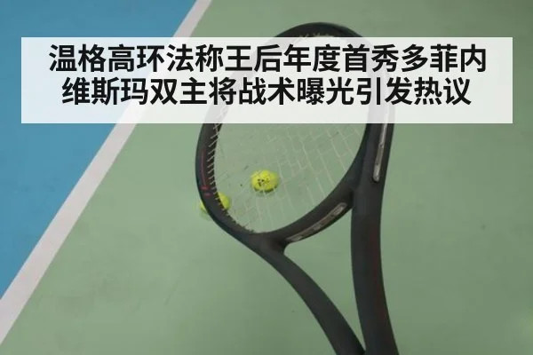 温格高环法称王后年度首秀多菲内维斯玛双主将战术曝光引发热议
